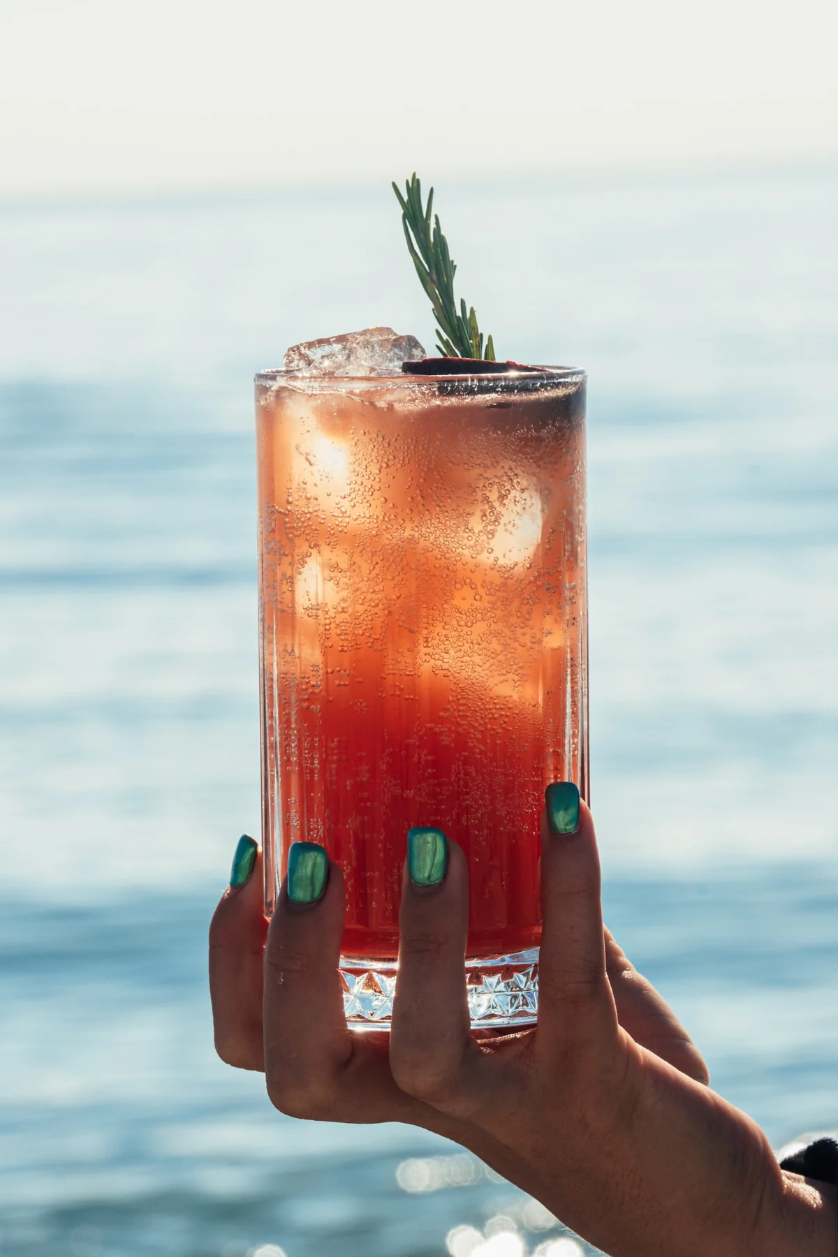 Cocktail pétillant orange-rouge avec romarin
