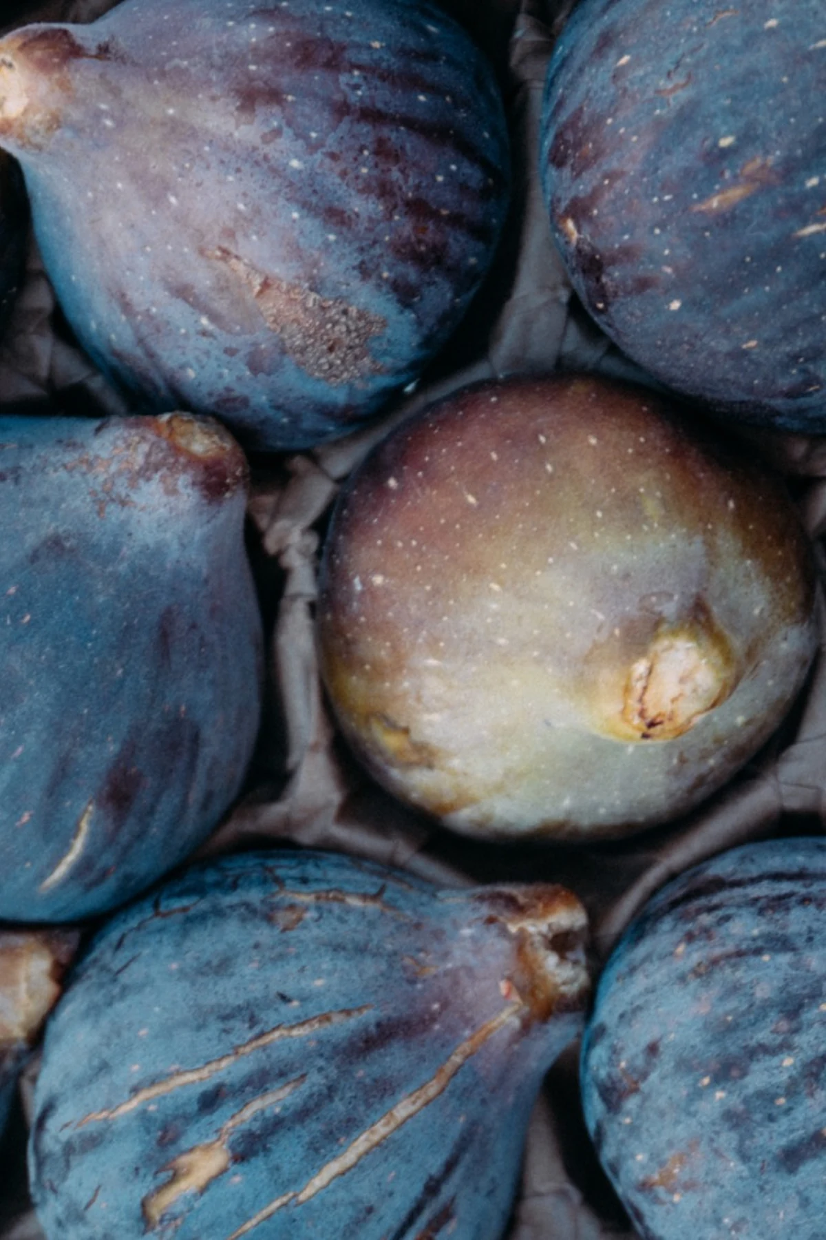 Figues fraîches