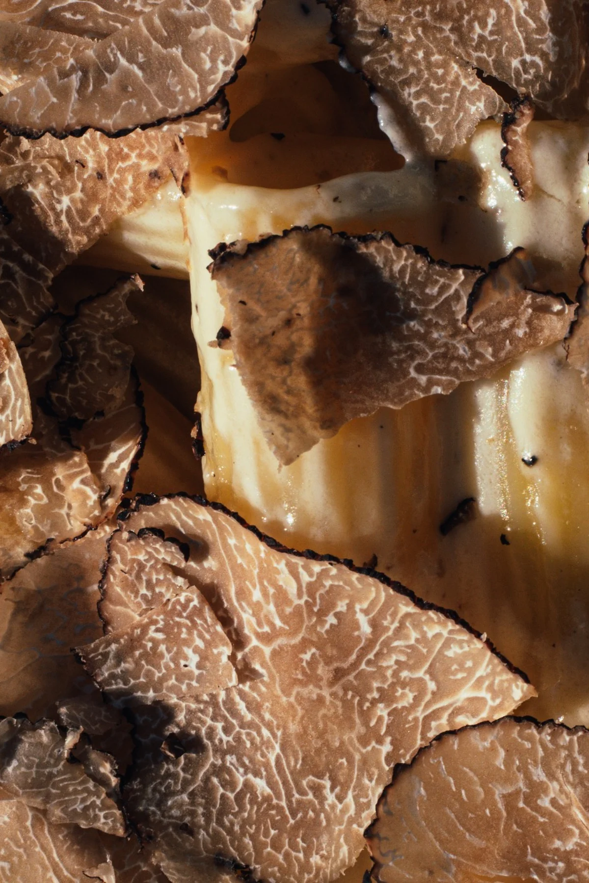 Détail de truffes sur des pâtes